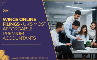 Wings Online Filings – UK’s Most Affordable Premium Accountants