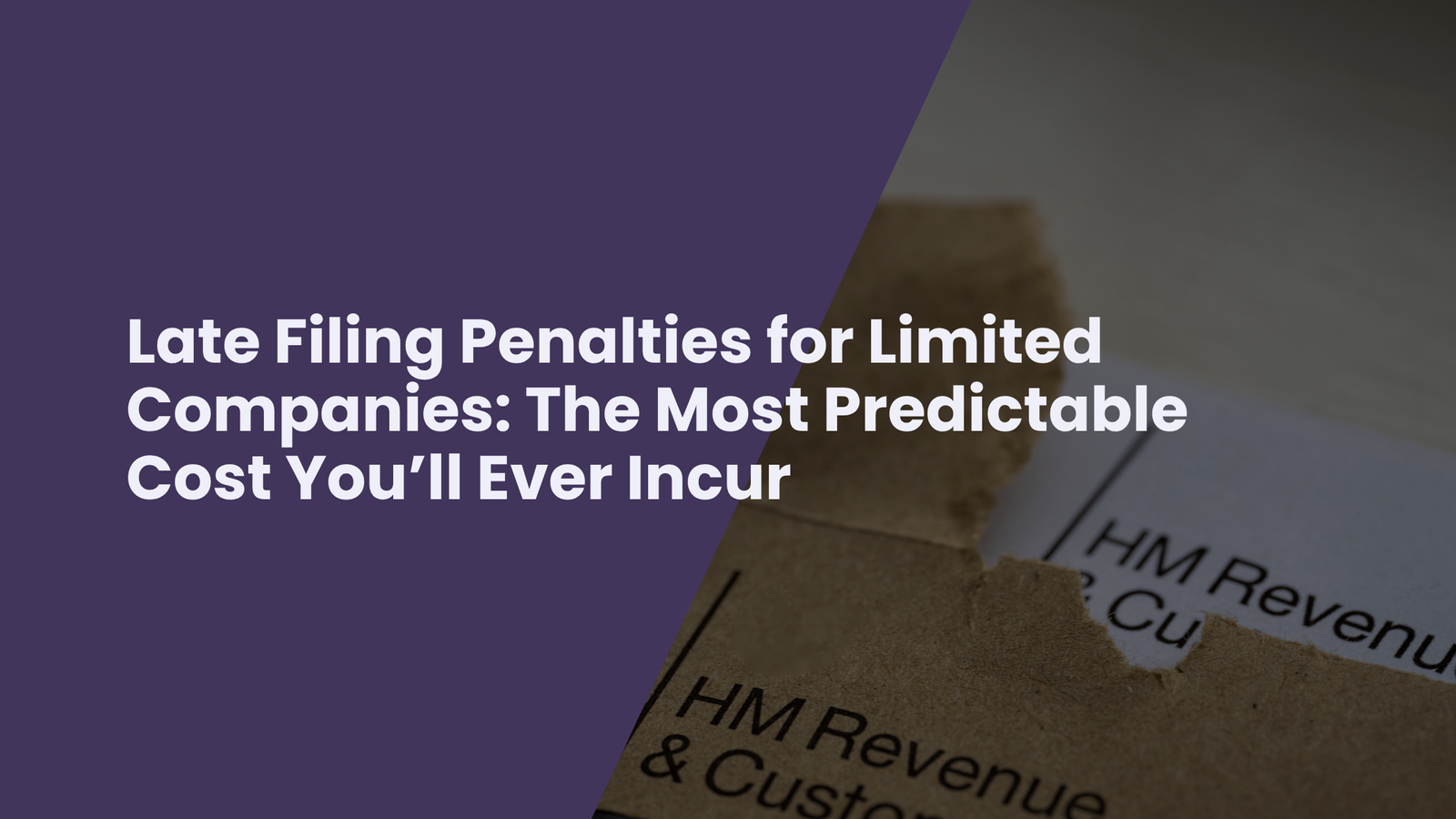 Blog Banner for Website Content (1)